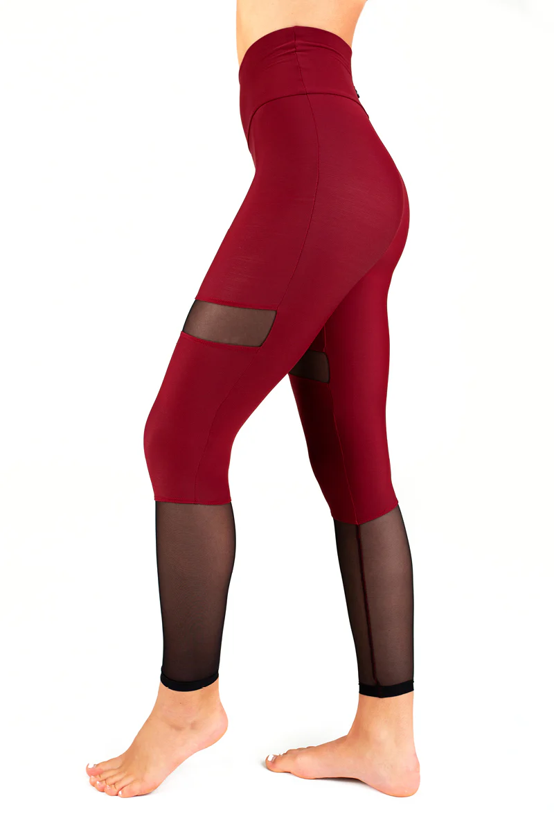 Dragonfly Barbara Leggings - Burgundy Mesh - Image 4