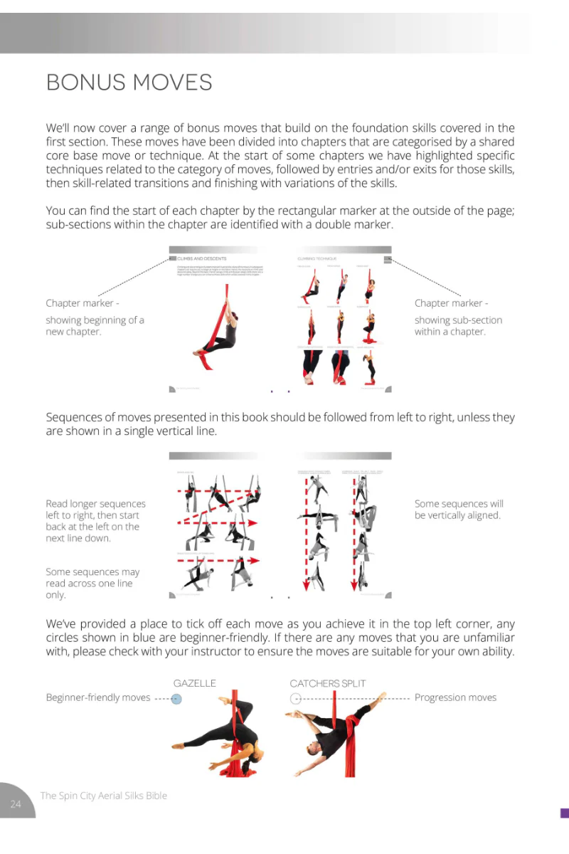 Spin City The Ultimate Silks Bible - Image 3