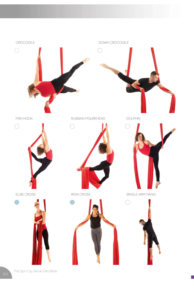 Spin City The Ultimate Silks Bible - Image 6